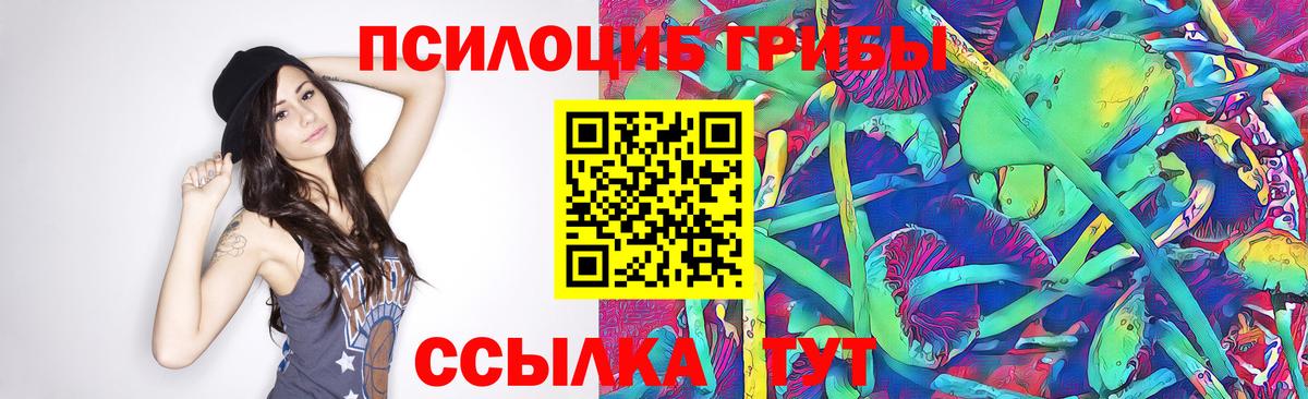 Псилоцибиновые грибы Psilocybine cubensis Краснотурьинск