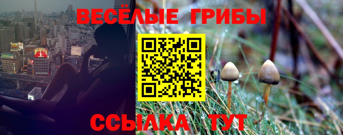 Краснотурьинск  Псилоцибиновые грибы MAGIC MUSHROOMS  Галлюциногенные грибы прущие грибы  Вход с VPN 